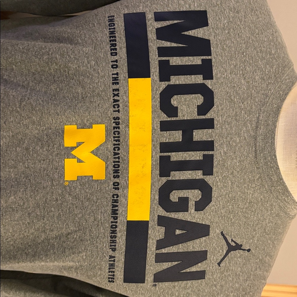 Jordan Men's Gray Michigan Long Sleeve Tee - Picture 2 of 4